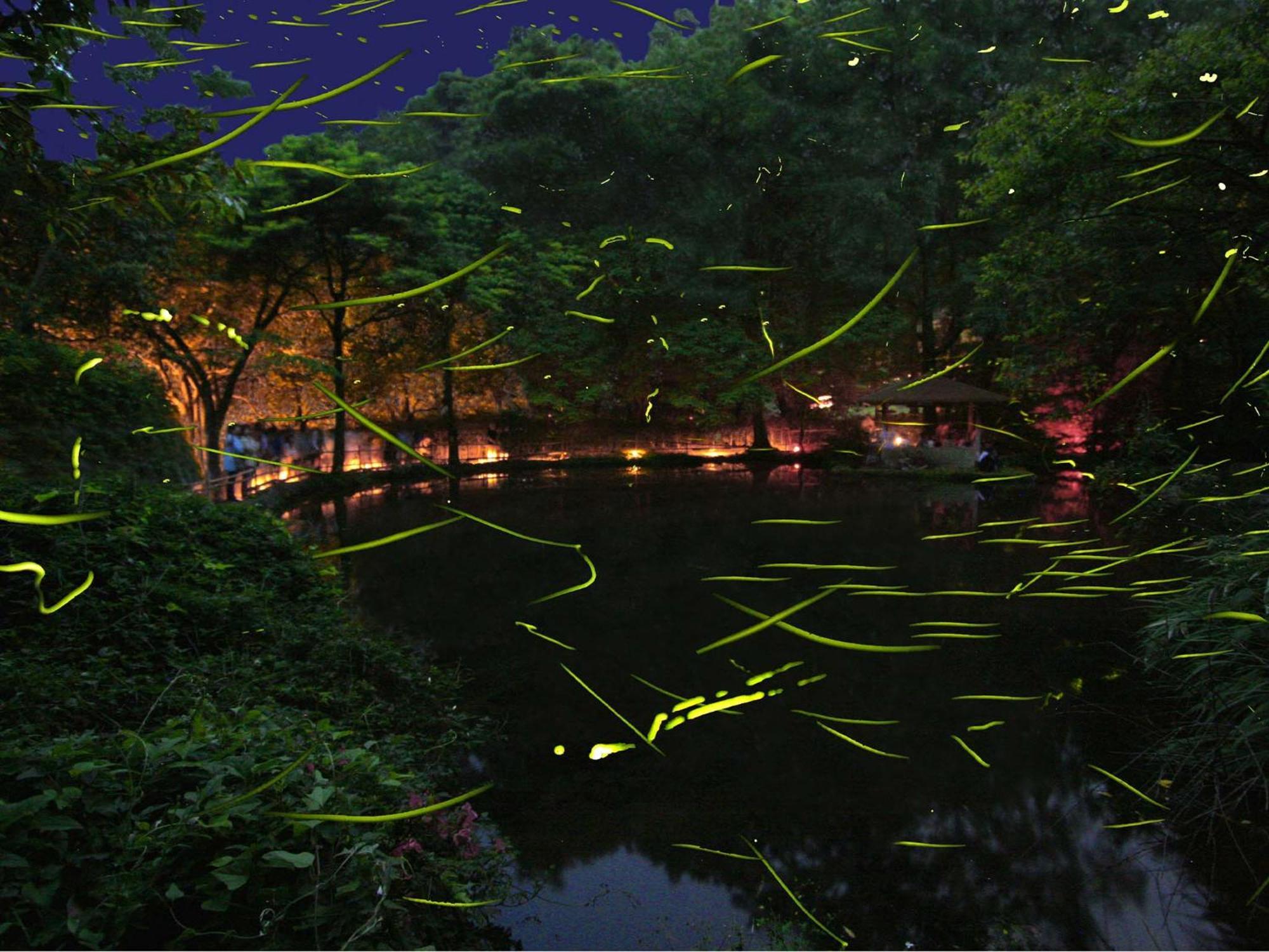 Izu Katase Onsen Ayumitei Fukumatsuso Hotel Higasiizu Kültér fotó